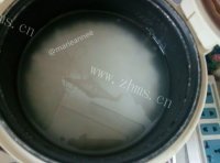 好吸收的香菜瘦肉粥做法图解2)