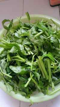 家常菜清炒竹叶菜做法图解1)