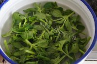 清热鸡蛋穿心莲馅饺子做法图解2)