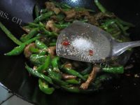 色泽鲜亮的尖椒炒肉做法图解8)