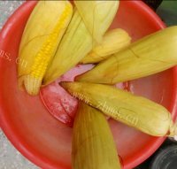 煮玉米做法图解4)