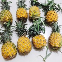 自制菠萝罐头做法图解1)