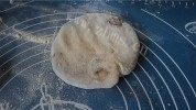 自制香酥豆沙饼做法图解7)