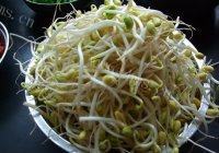 美味健康的豆角卤面做法图解2)