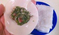 「家有大厨」茴香饺子做法图解3)