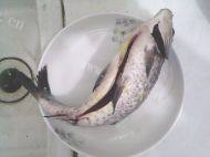 自己做的鲫鱼豆腐汤做法图解2)