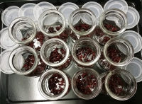 巧克力蔓越莓酸奶做法图解4)