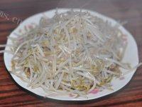 迷人的素炒豆芽