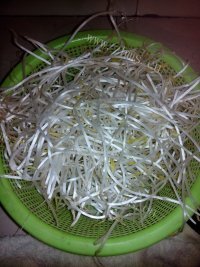 美味的豆芽炒面做法图解2)