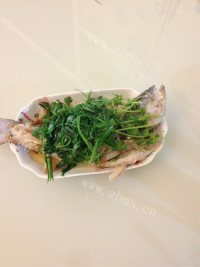 鲜美可口的清蒸鲈鱼做法图解3)
