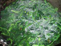 菠菜豆腐汤做法图解6)