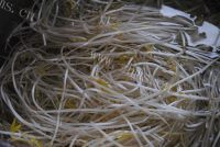 家常菜凉拌豆芽做法图解1)