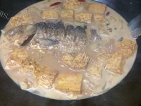 家常菜鲫鱼烧豆腐做法图解8)