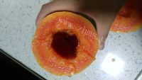 自制木瓜奶冻做法图解2)