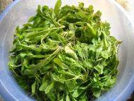 荠菜鲜肉饺子做法图解2)