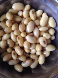 营养香菇炒甘蓝做法图解2)