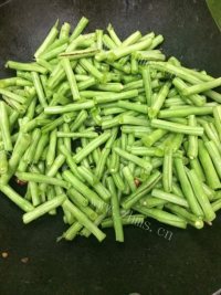 家常菜清炒豆角做法图解5)