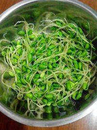 家常菜凉拌绿豆芽做法图解3)
