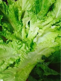好吃的中式寿司卷做法图解2)