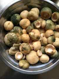 青头菌蒸肉做法图解1)