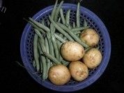 家常菜炒双豆做法图解1)