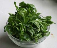 好吃的白灼田七芽做法图解1)