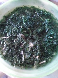 美味的荠菜包子做法图解3)