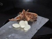 葱爆河虾做法图解2)