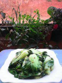 陶醉其中的蚝油油菜