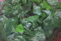 豆角拌豆角叶做法图解4)