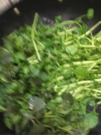 蒜蓉西洋菜做法图解2)