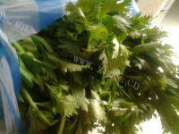香飘的芹菜猪肉水饺做法图解3)