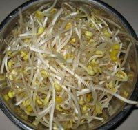 「DIY美食」黄豆芽炒肉做法图解1)