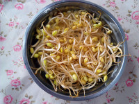 美味的鸡蛋豆芽卷饼#新鲜从做法图解5)