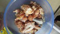 美味的麻辣鸡块做法图解3)