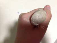 手打鲅鱼鱼丸做法图解9)