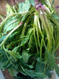 自制菠菜粉丝做法图解1)