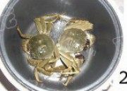 香焖大闸蟹做法图解2)