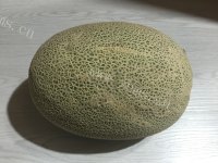 自制哈密瓜奶昔做法图解1)