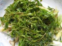 家常凉拌柳芽