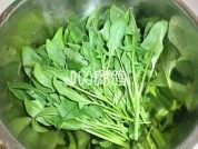 菠菜拌海蜇做法图解1)