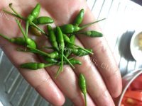 好吃的辣番茄斑鱼汤做法图解2)