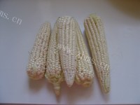 烙玉米浆饼的家常口味做法图解1)