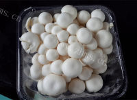 家常小菌菇炒肉丝做法图解1)
