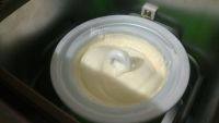 自制芒果酸奶冰淇淋做法图解10)