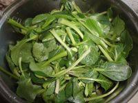 香飘的香菇炒油菜做法图解1)