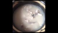 美味的鱼片汤