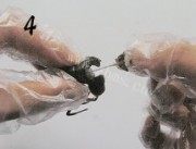 家常菜凉拌小龙虾做法图解4)
