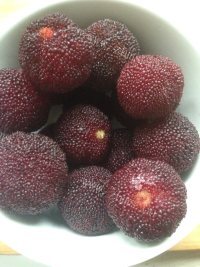 香气浓郁的水晶粽子做法图解2)