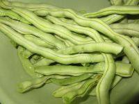 清炒芸豆丝做法图解1)
